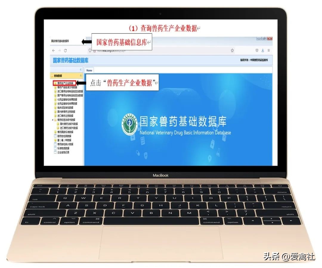 中国兽药网怎么查疫苗真伪,兽药真伪查询系统