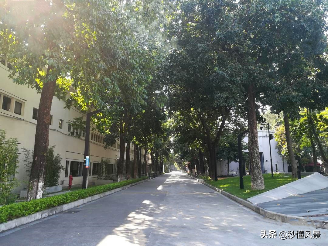 广州又一创意园走红！比红专厂人少，不要门票却很少有游客知道