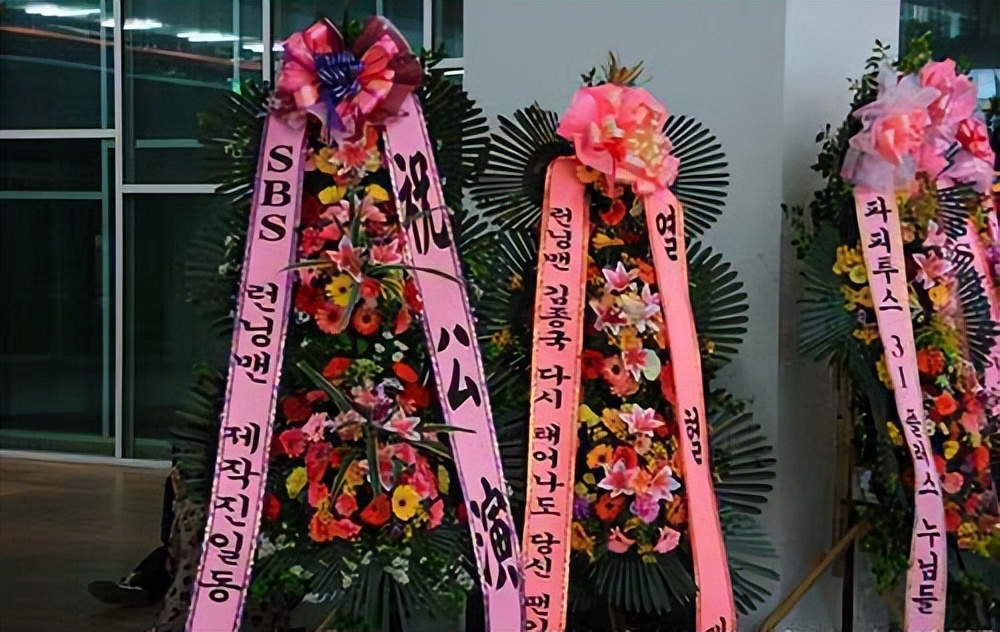 关于韩国的10点冷知识,韩国冷知识大全及图片