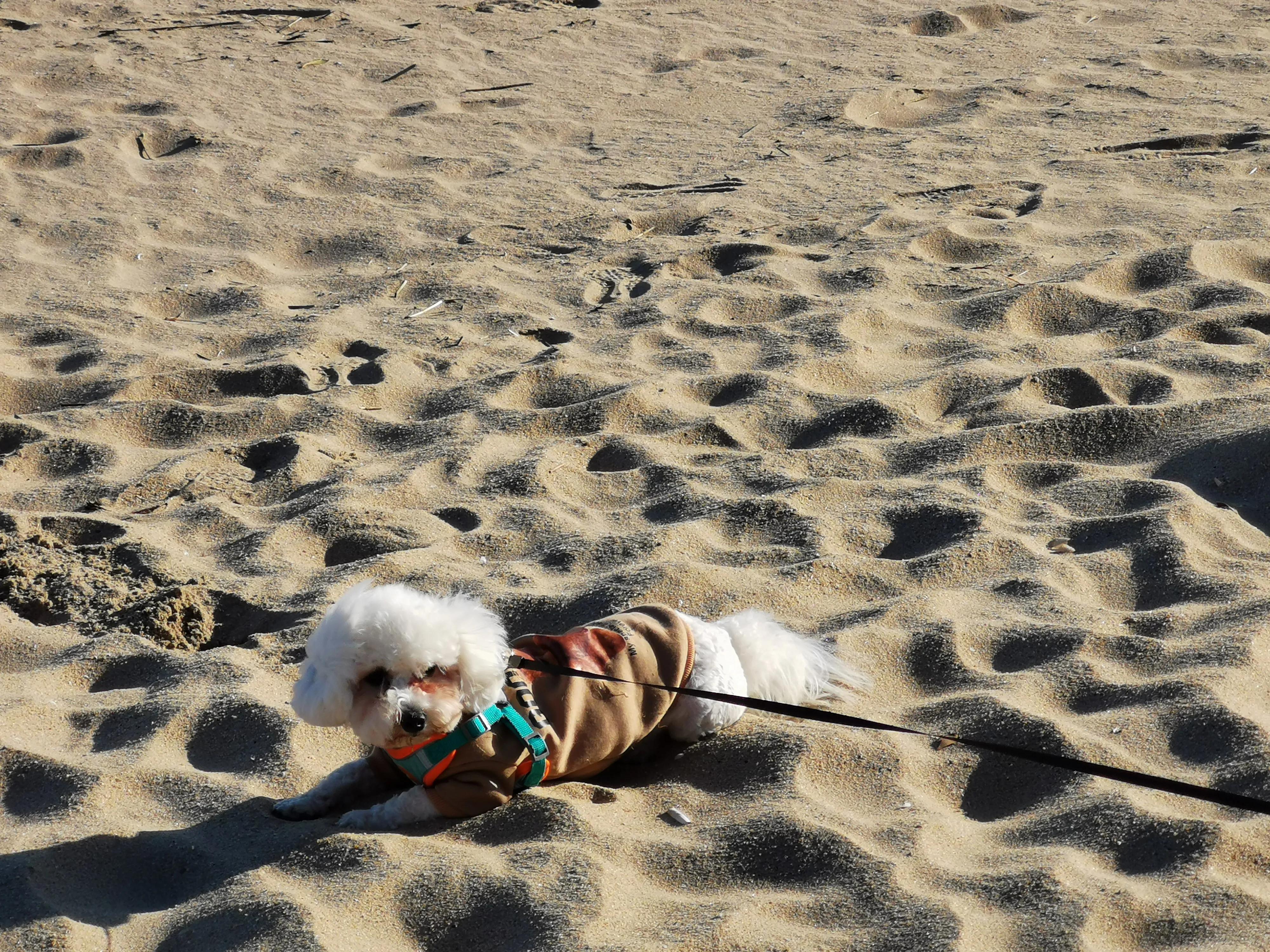 厦门的蓝天白云大海,厦门的海厦门的天空