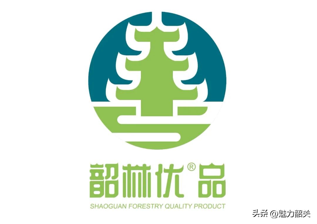 今天，“韶林优品”闪亮登场！