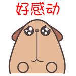 嗨~热依莎，全网超千万人都在听你的歌，你知道吗？