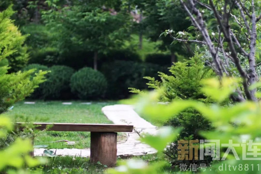 没想到附近也有这么美的风景,美丽的风景近郊旅游的好去处