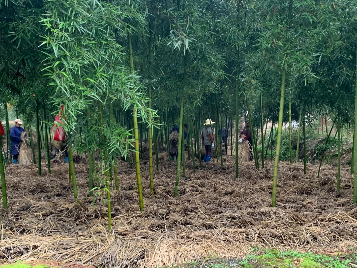 40到50岁创业商业思维致富经,创业者说科技兴国