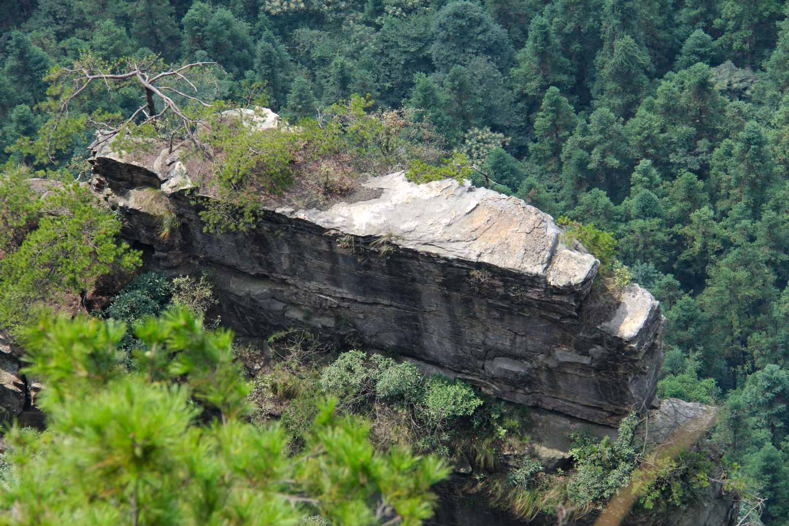 去张家界玩的攻略大全,湖南张家界旅游攻略4天3晚价格