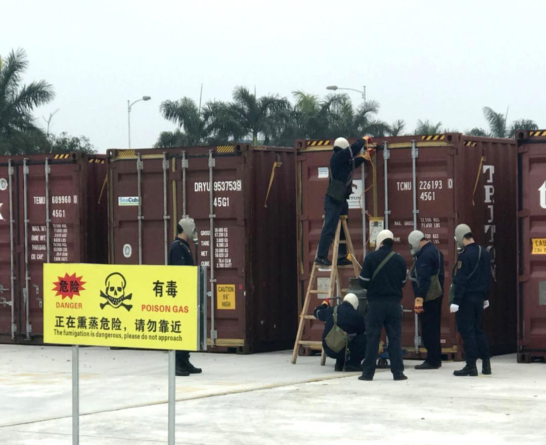 海关查到剧毒蜘蛛,海关查出毒蜘蛛