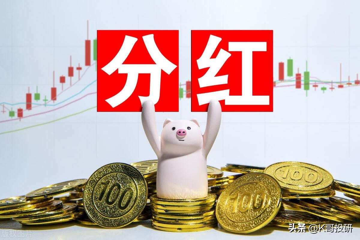 2023年a股涨幅最大的10只股票,中国a股股息率最高的10只股票