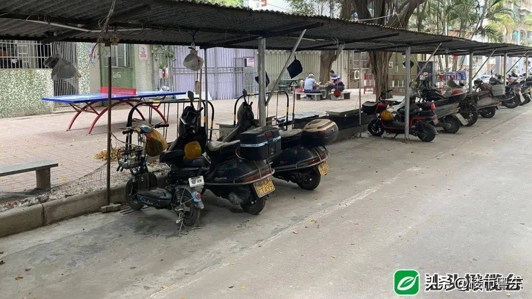 “指南里”一夜爆红！汕头桃园小区申请红花老姨出战！