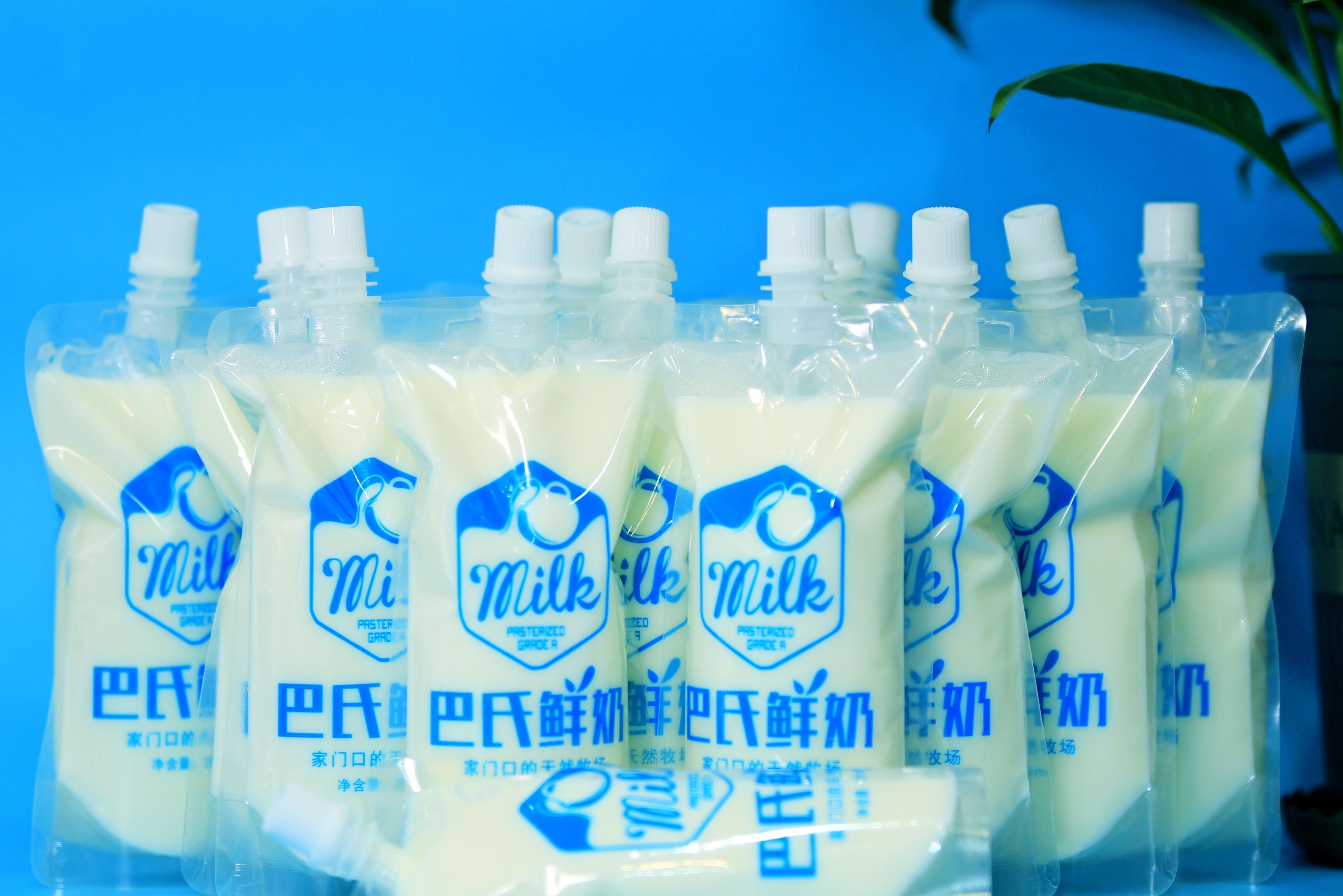 怎样开一家奶制品店,加盟酸奶店的品牌