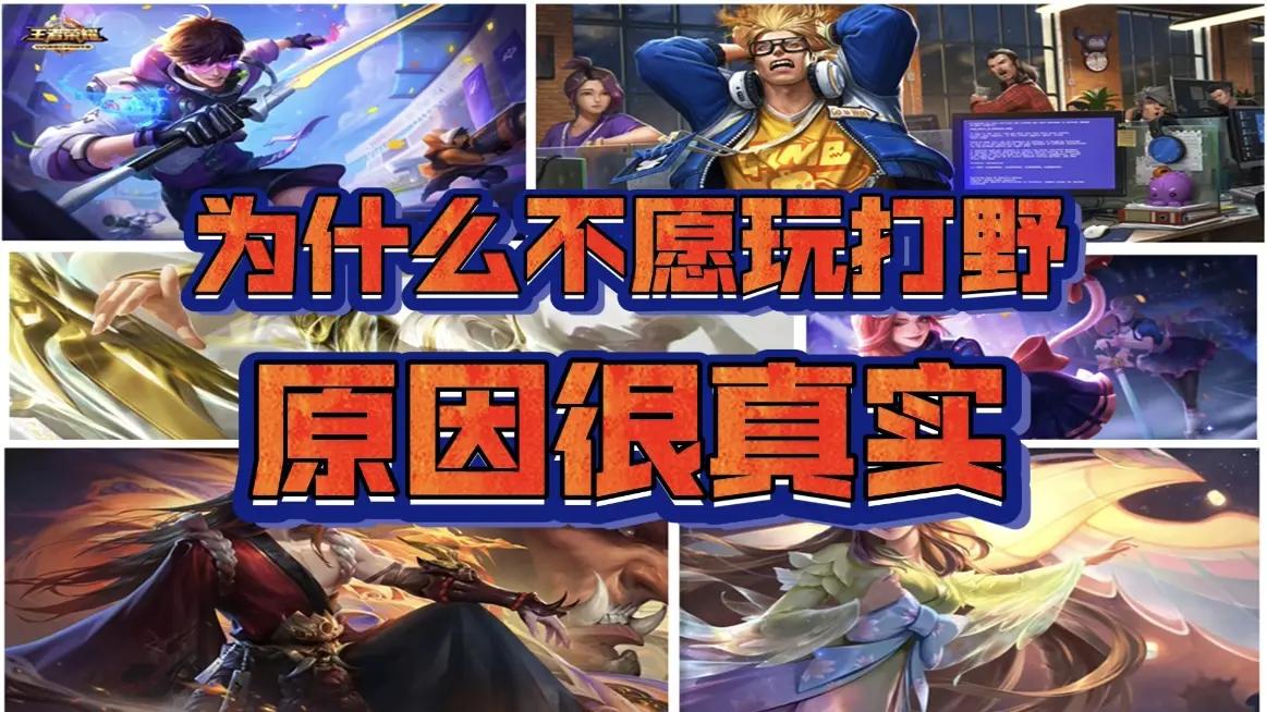 王者荣耀可以用打野的英雄吗,王者荣耀打野不热门的英雄