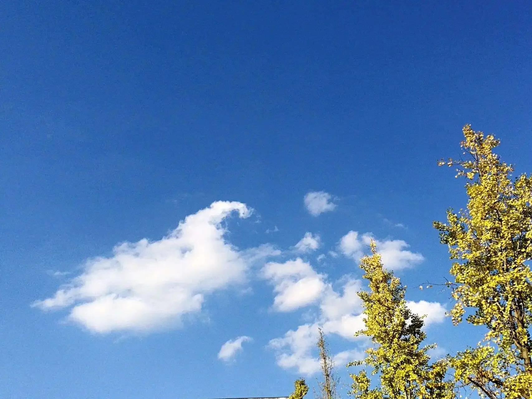 秋天的思念全部歌曲,秋天的思念纯音乐