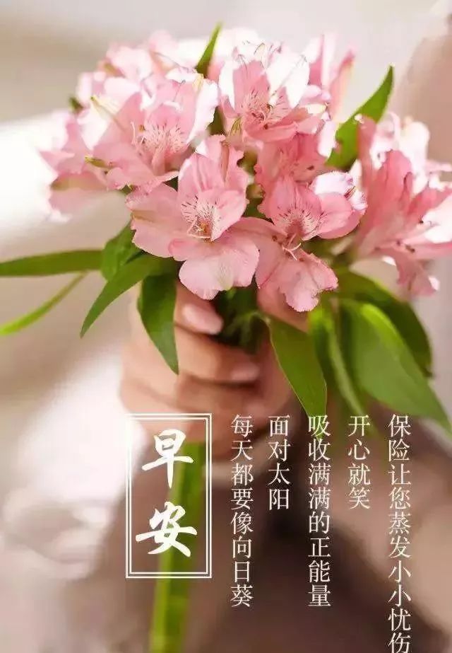2021年新版问候大家早安图片带字,2022年最近早安问候图片