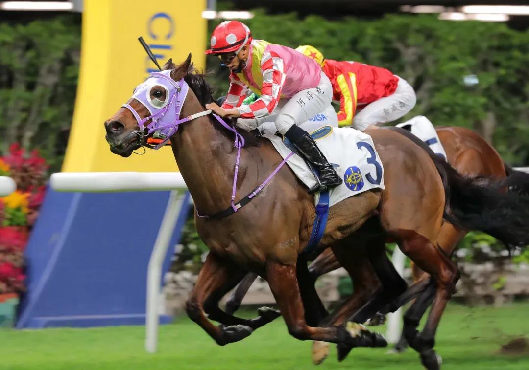 华将发亮～钟易礼谷草首胜蔡明绍力争参与《浪琴国际骑师锦标赛》