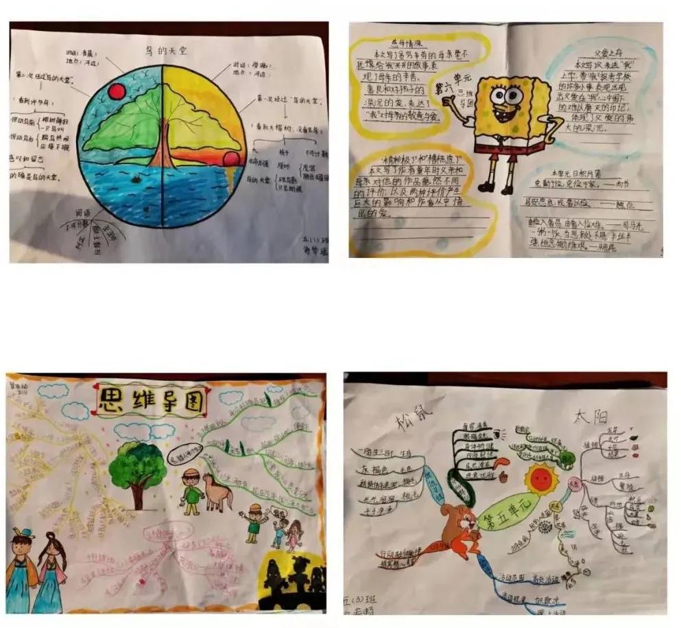 龙王李小学的两年时光,东光县龙王李镇中心校