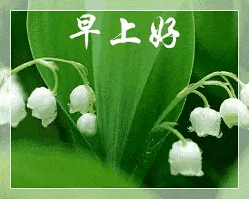 2023年农历是什么年癸卯年,农历2023年癸卯年正月结婚吉日