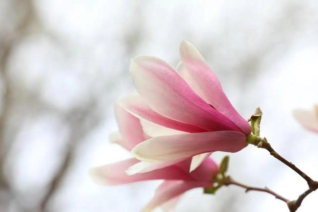 成年人用的聊天工具,成年人聊天工具