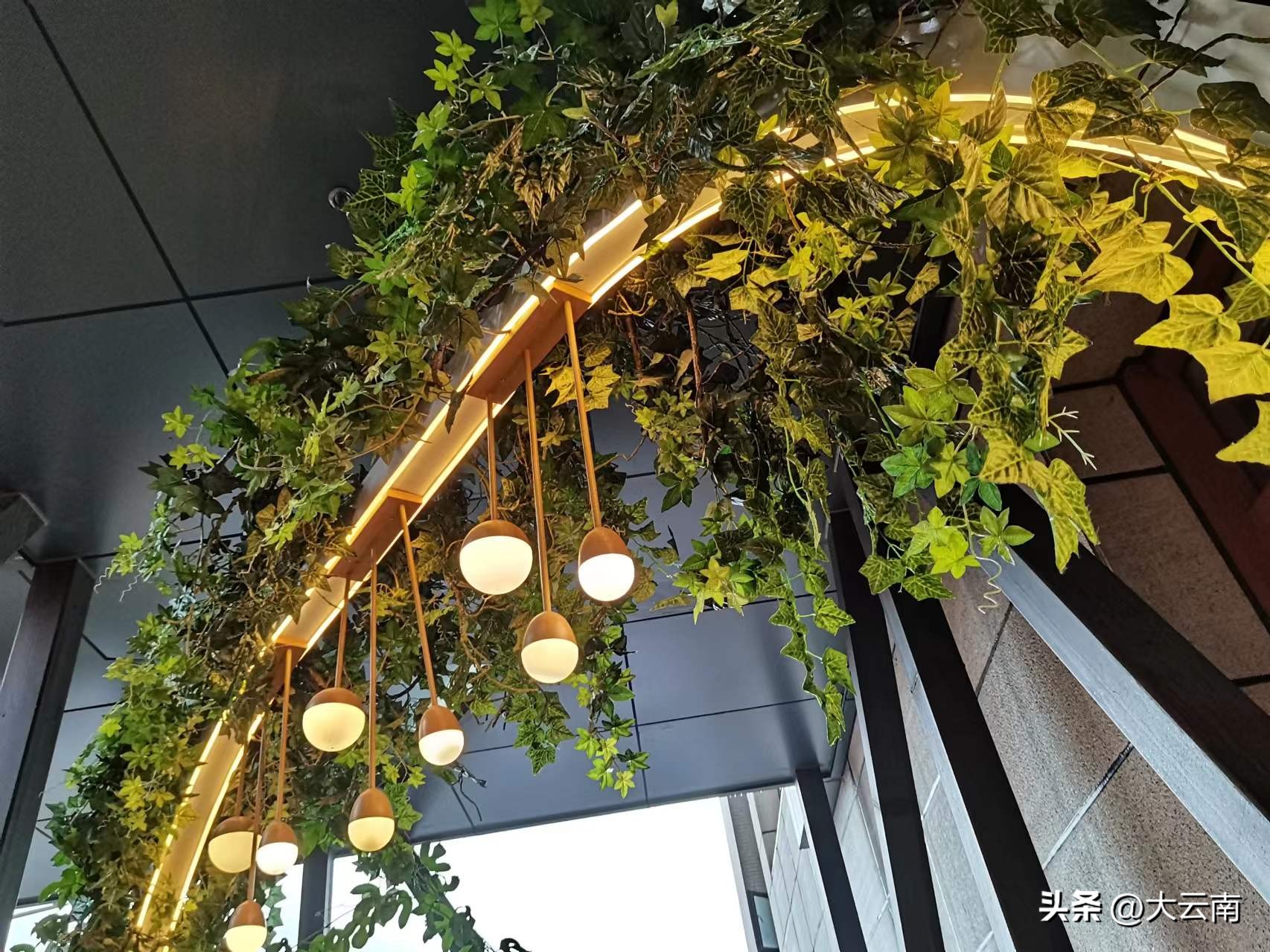 昆明欣都龙城：共谱民族和谐之曲共建民族团结商圈