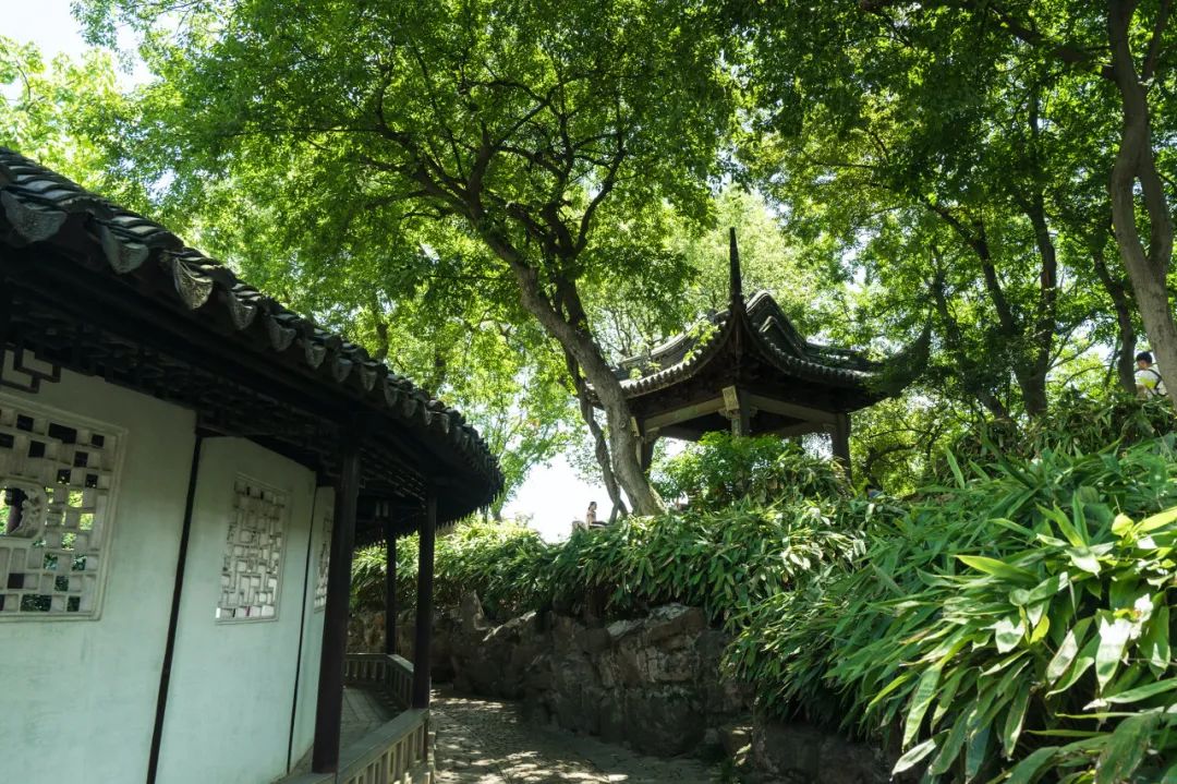 江南最美的城市,江南最好的风景城市