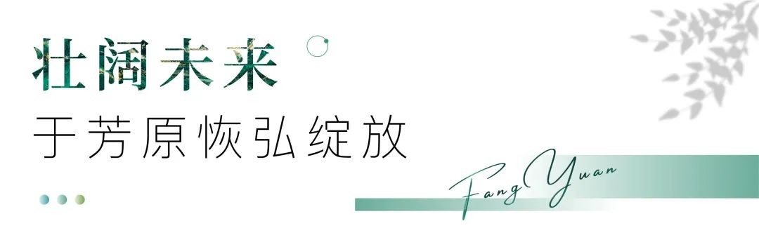 上秦淮芳原叠墅下叠价格,芳原3期开盘