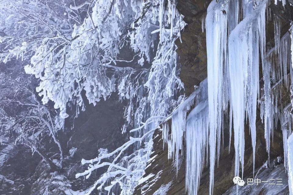 霜情雪意冰为天：四川光雾山记！