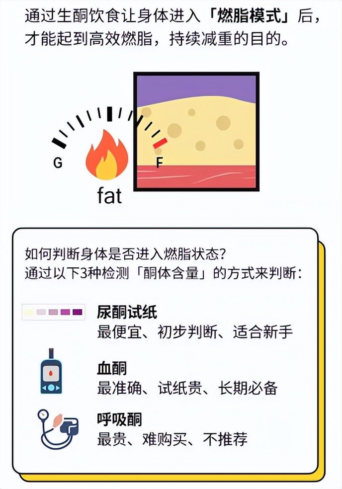 生酮教程,生酮全攻略