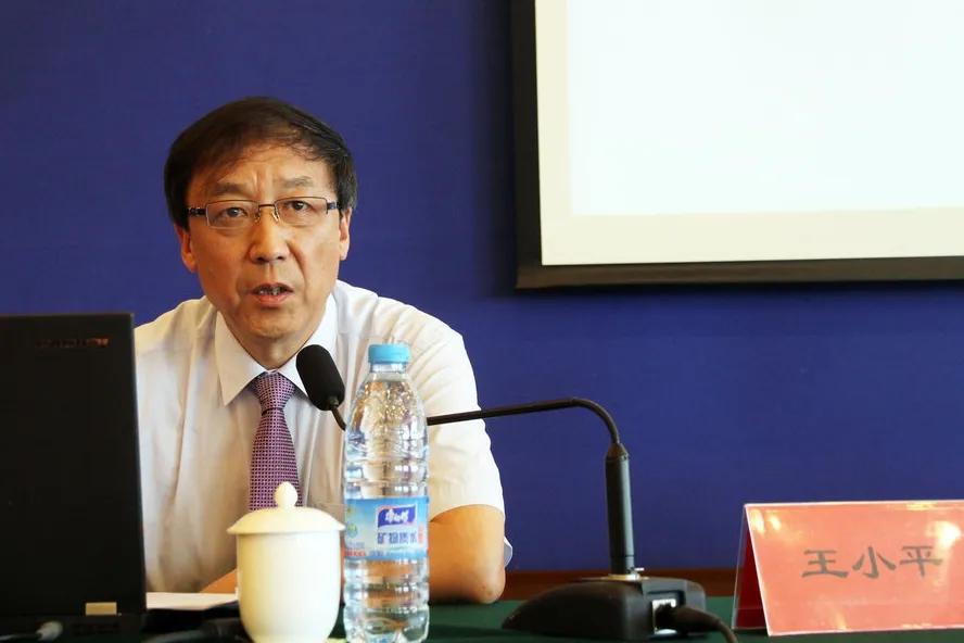 中国足协纪律委员哪些人被查,足协王小平之前职位