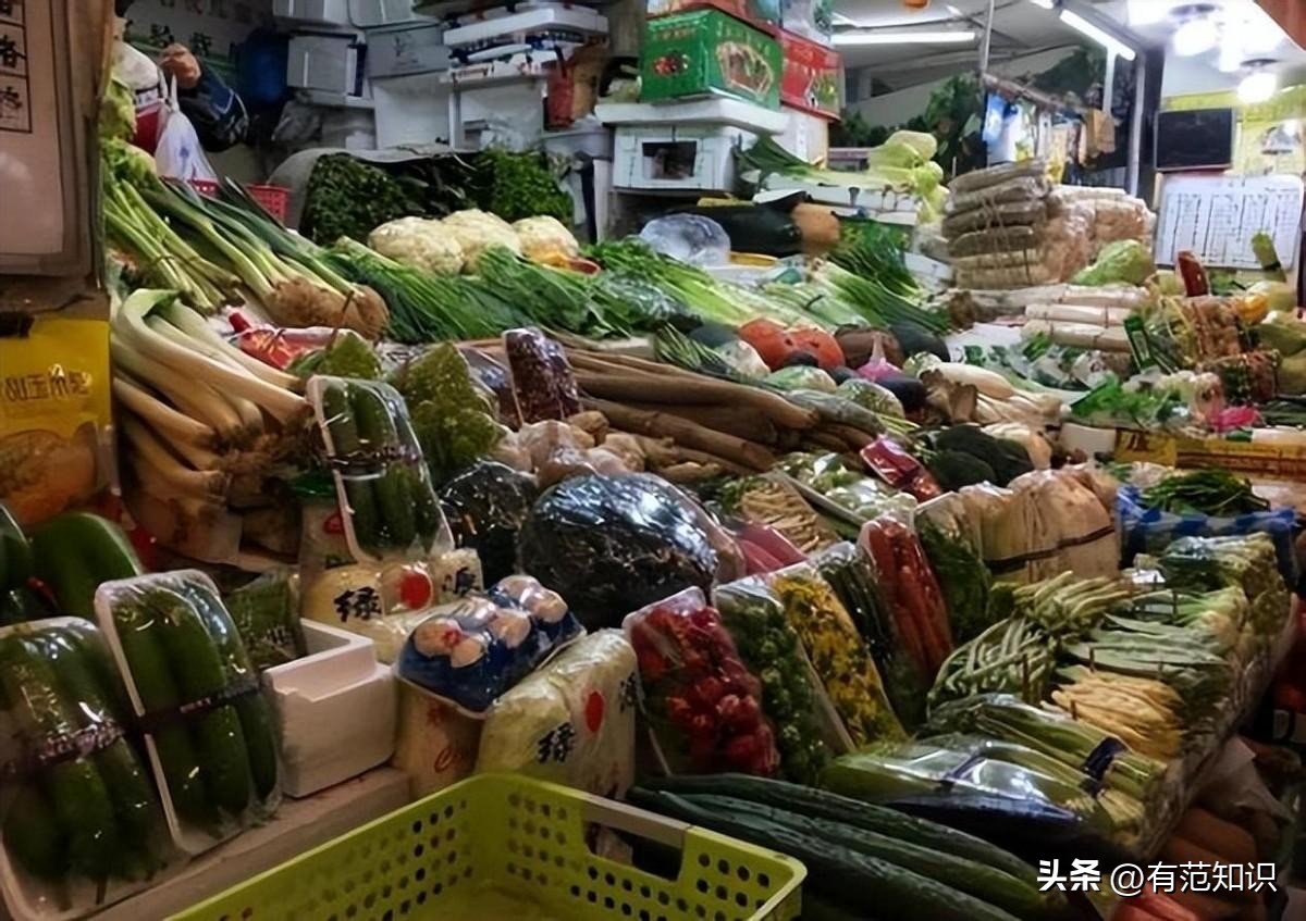 40岁女子在出租屋内“躺了”9年:拒绝一切社交,每月只花500块