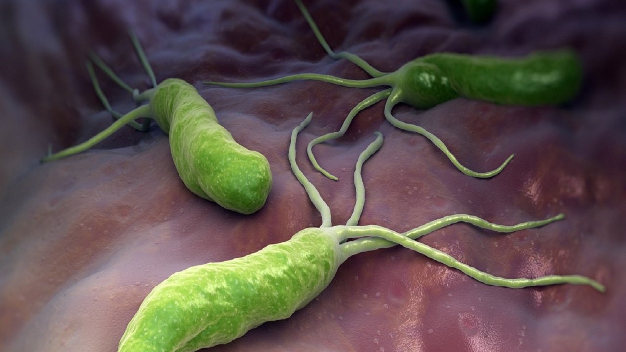 治疗幽门螺杆菌用哪四种药最好,治疗幽门螺杆菌用哪四种药比较好