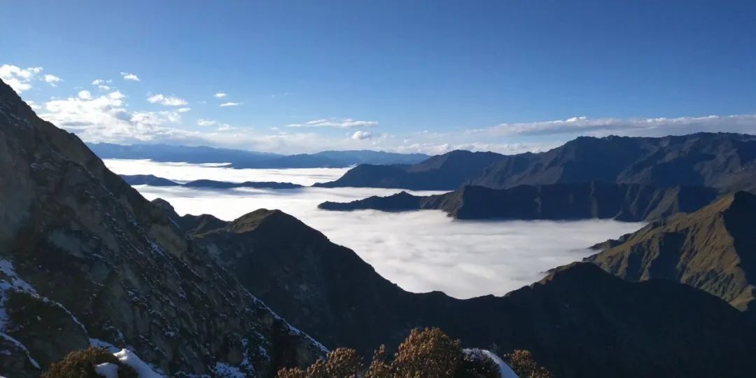 我们先去看熊猫吧英文,我们来了参观熊猫基地视频