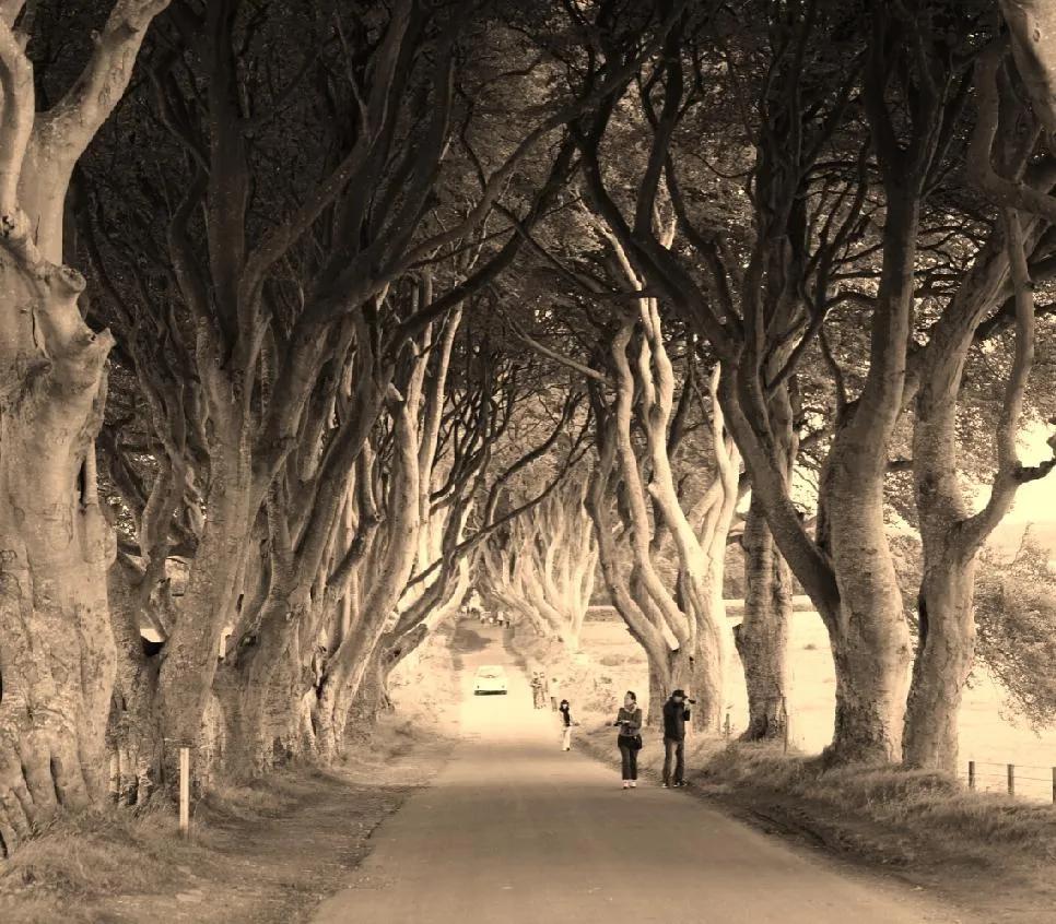 英伦三岛贝尔法斯特,体验权力的游戏