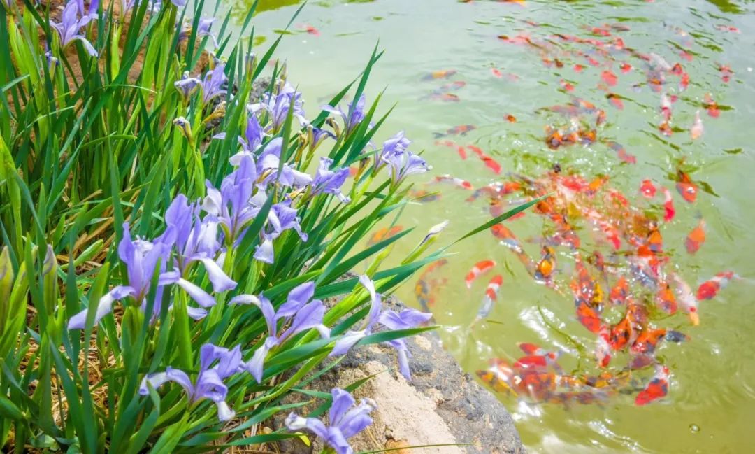 六一广州游玩攻略,六一攻略