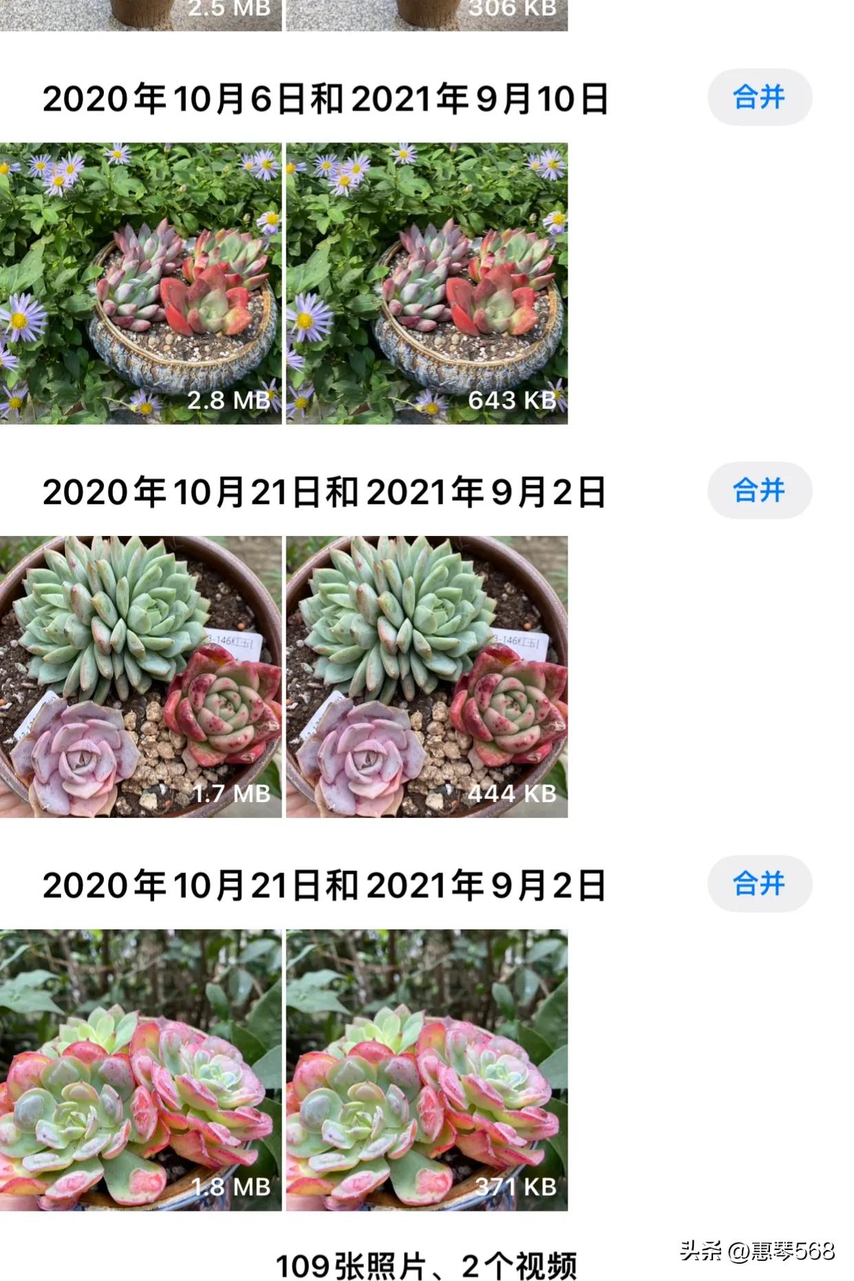 我的照片全部删了怎么找回来,我的照片图库在哪里