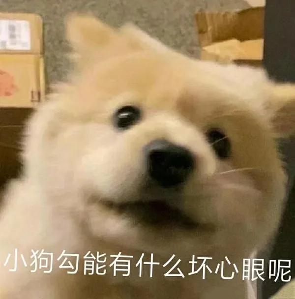 yyds、内卷、emo、​耗子尾汁……2021年度十大流行语新鲜出炉