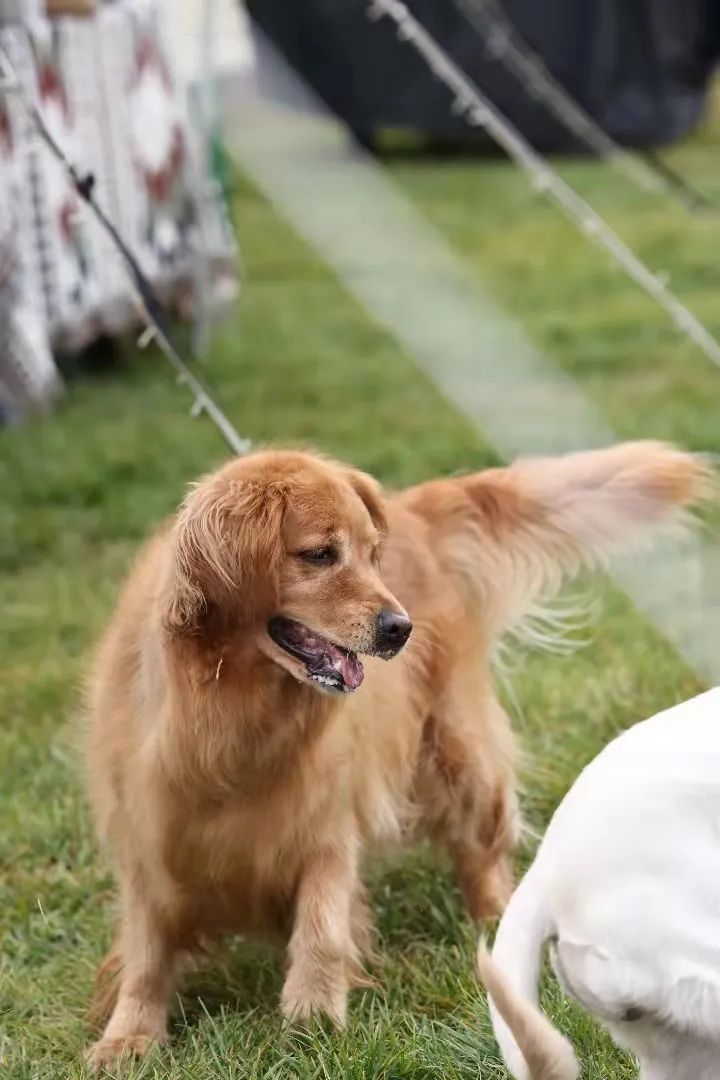 失控玩家2完整版,失控玩家游戏攻略