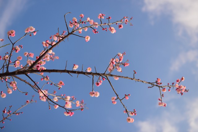 工作仅仅是工作而已没必要内耗,工作已经挺累了就不要互相内耗