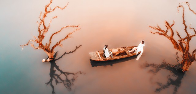 冷处偏佳什么意思,冷处偏佳别有根芽不是人间富贵花