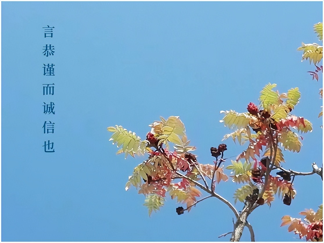 涓崕浼犵粺浜斿痉淇韩鏂囧寲,涓浗浼犵粺浜斿痉淇韩鏂囧寲