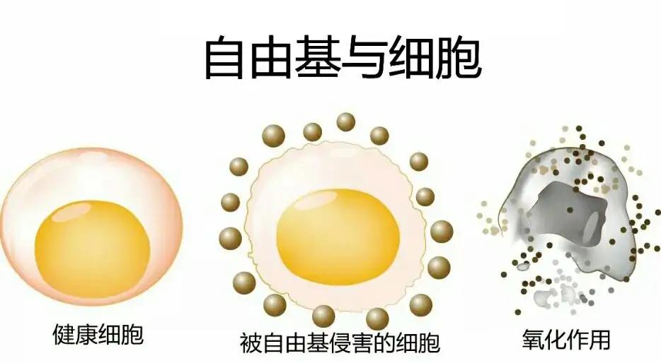 经常吃一片维生素c副作用是什么,长期吃维生素c一天一片