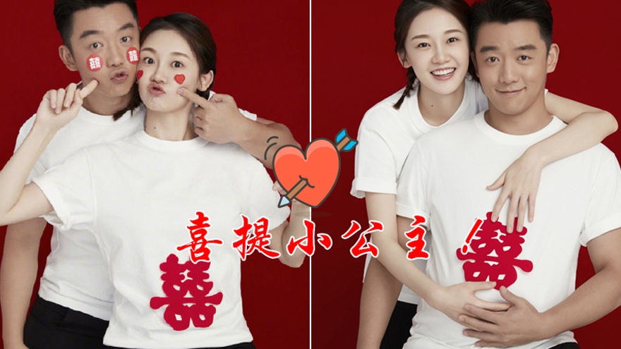 郑钧评价苗苗扮猪吃老虎,苗苗评价郑钧刘芸