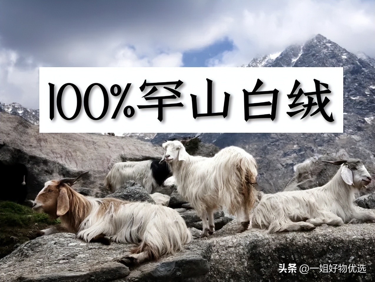 羊绒围巾哪个牌子最好,什么牌子的羊绒围巾比较好穿女装