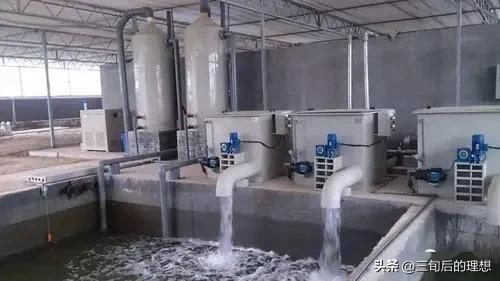循环水养殖系统的探索,关于其原理、设计与效率,是水产重要创新