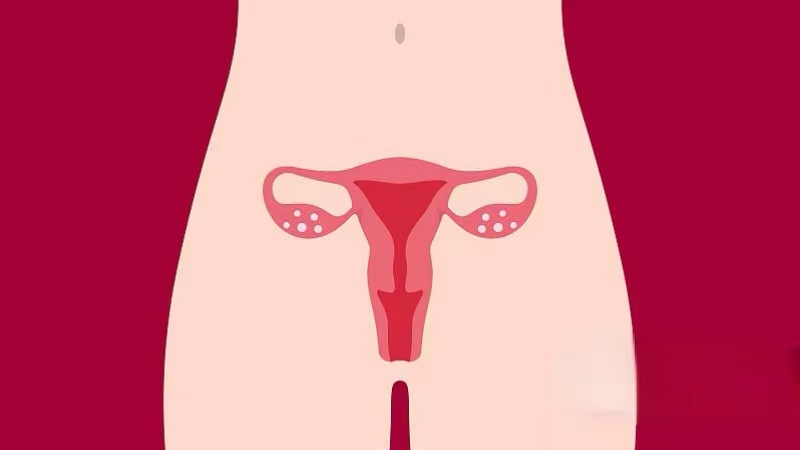 忽悠女大学生卖“卵子”的黑中介到底有多坑?妇产科医生揭露*局骗**