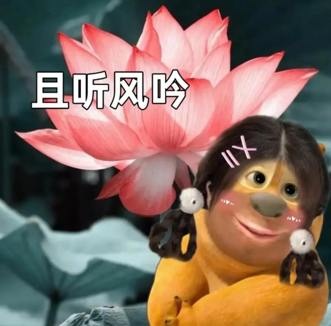 熊熊姐姐做手账,熊熊姐姐公园视频