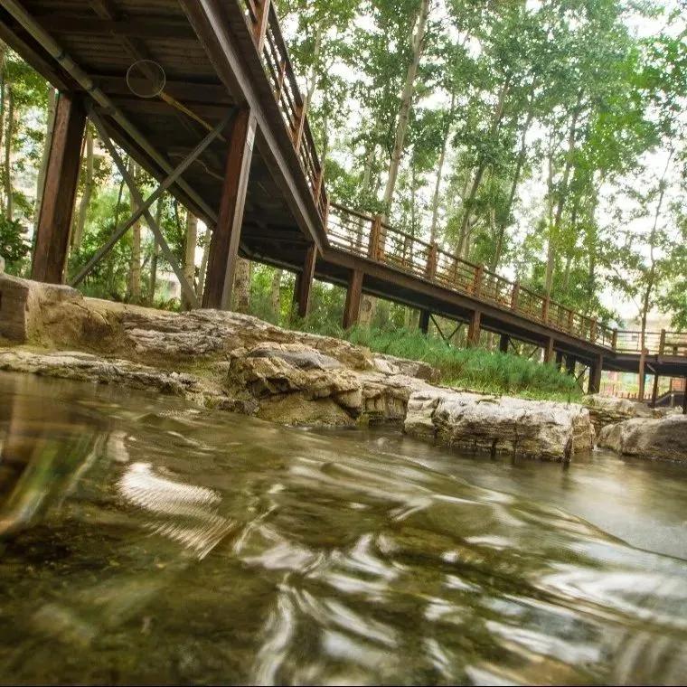 免疫系统紊乱中医还是西医好,中医能治疗风湿免疫系统的疾病吗
