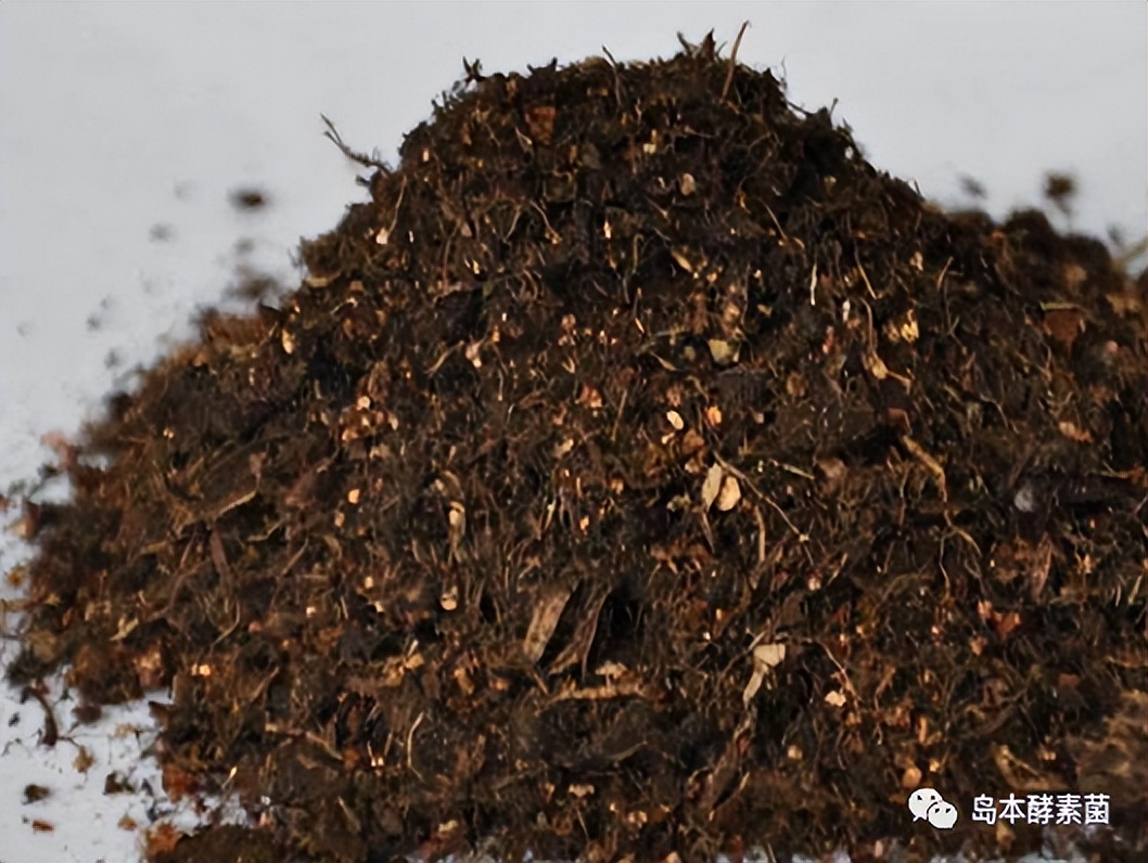 岛本酵素菌,酵素菌发酵技术视频