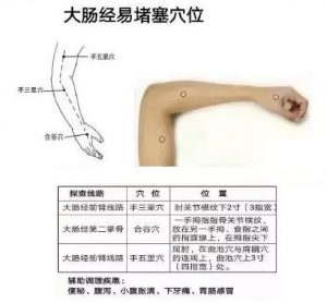 十二经络足阳明胃经穴位走向,胃部经络最易堵塞三个穴位