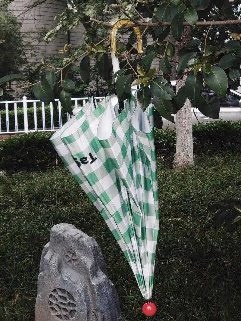 1万块钱可以买小雨伞吗,1万元以下雨伞