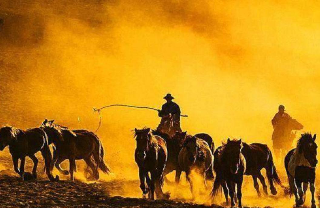 明朝赋役制度改革措施,明朝赋役制度有多强