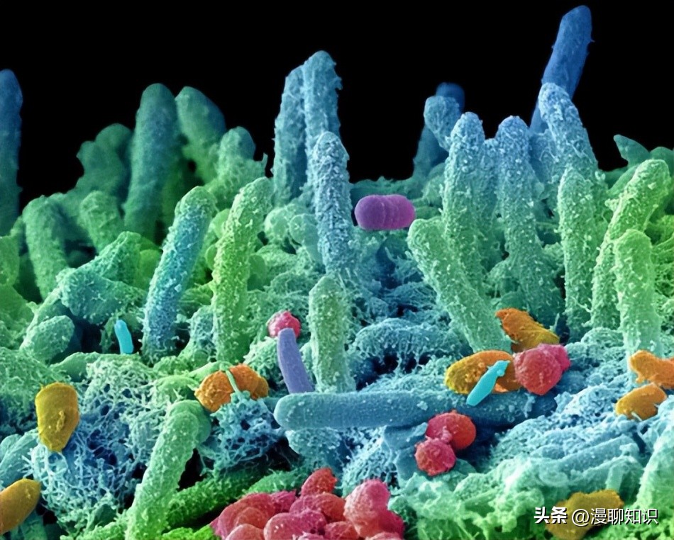 妇阴康洗剂的用途,妇阴康洗剂是抗生素药吗