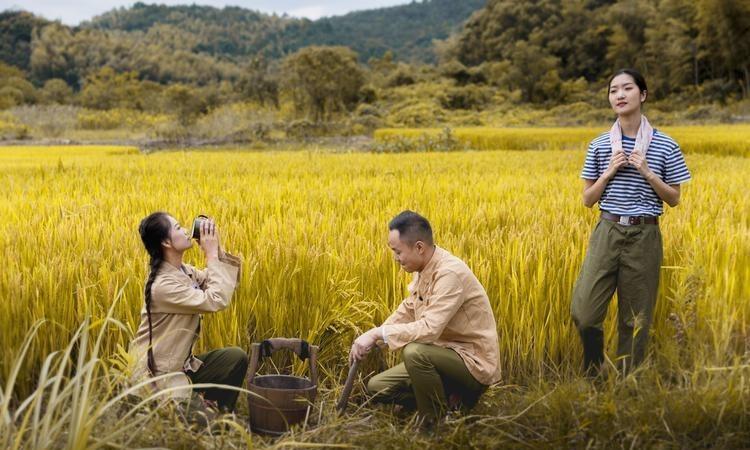 “胶鞋”风靡海外,老外惊叹:抢都抢不到!
